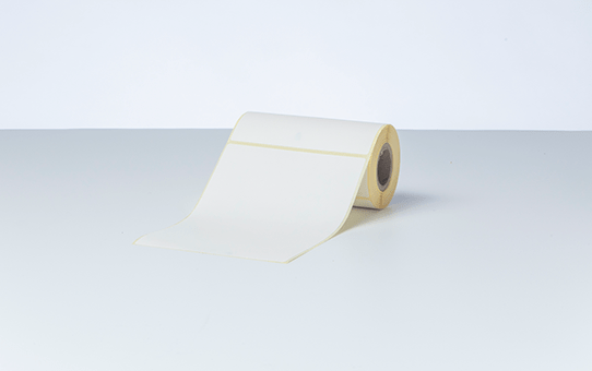 LABEL 102MM X 152MM (PACK OF 20)