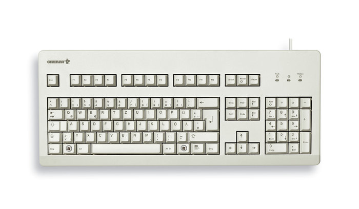 CHERRY MX3000 Tastatur Wired DE MX schwarz 1.75m hellgrau
