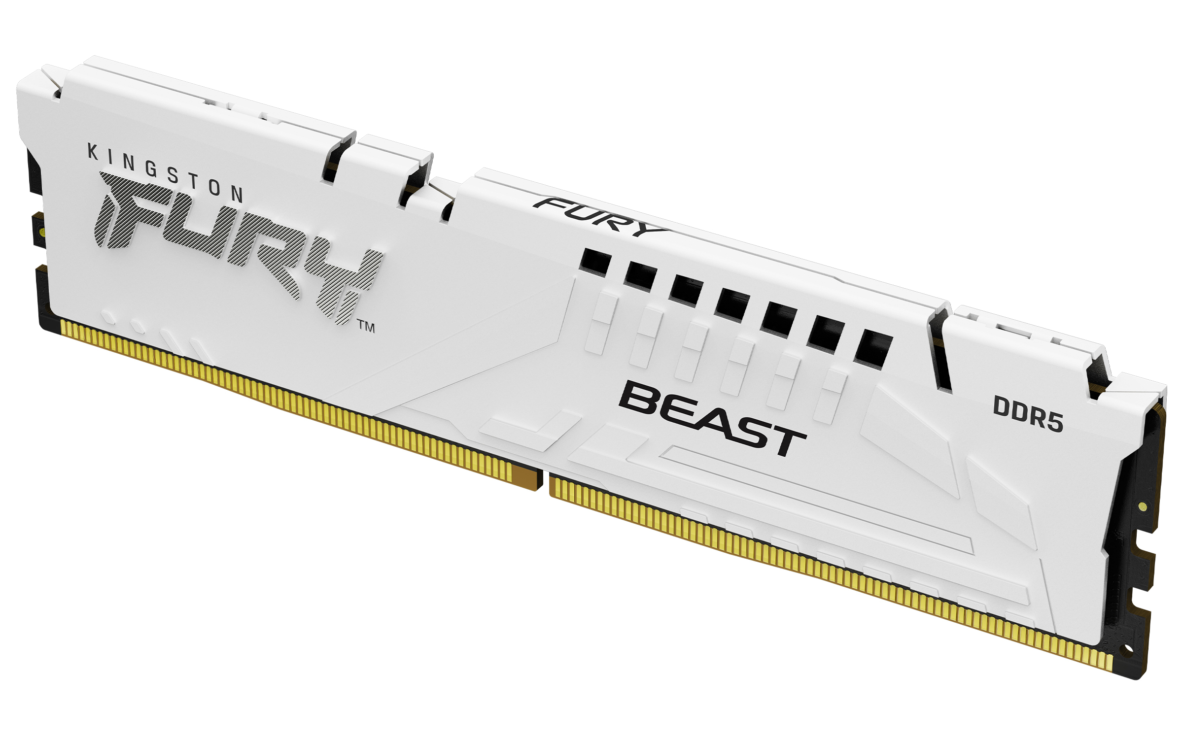 DDR5 16GB PC 6000 CL30 Kingston FURY Beast ws retail