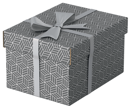 Esselte Home Aufbewahrungsboxen 6,5 l grau 20,0 x 25,5 x 15,0 cm, 3 St.