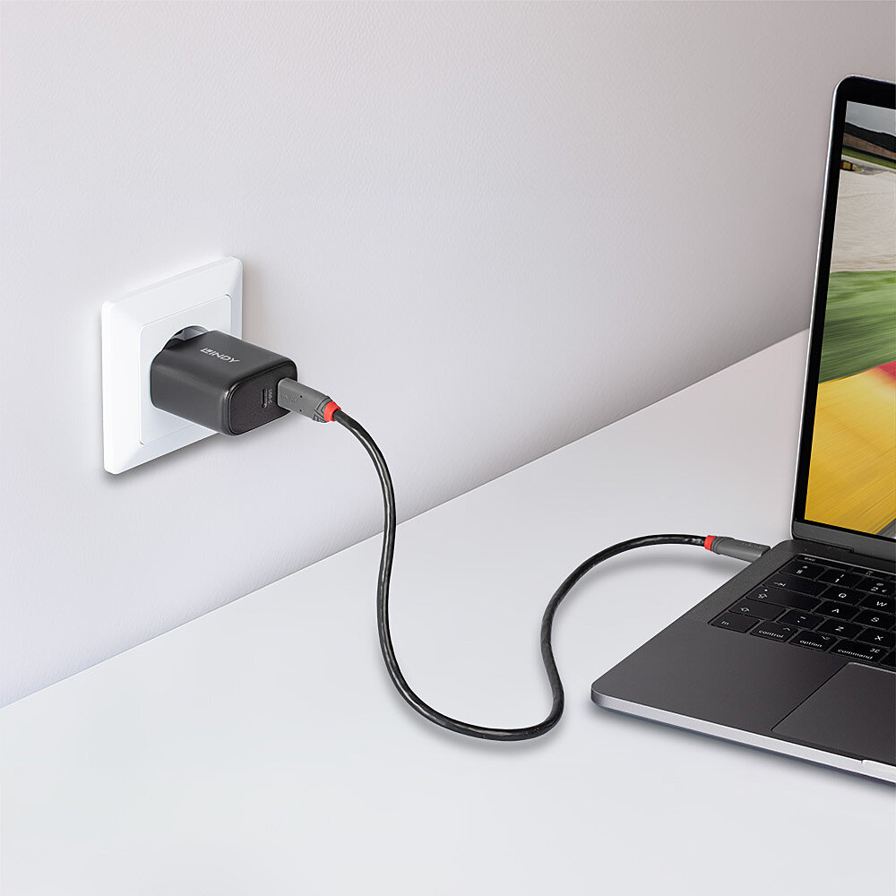 LINDY 65W USB 2 x Type C GaN Charger mit EU-Stecker