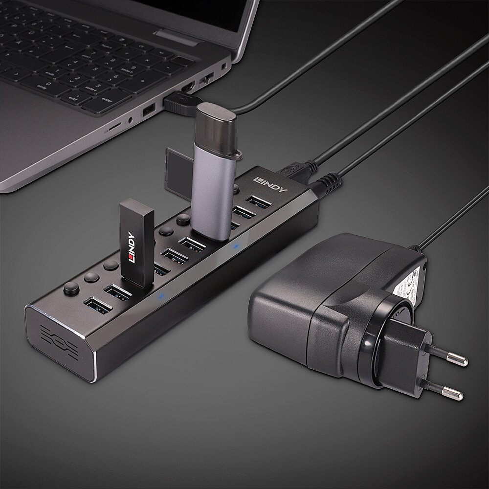 LINDY 10 Port USB 3.0 Hub mit Ein-/Ausschaltern