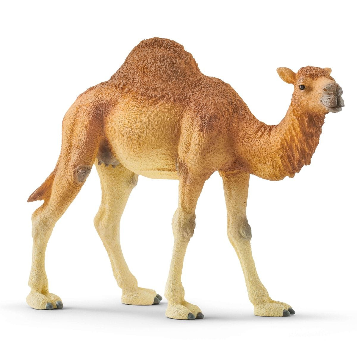 Wild Life Dromedar, Spielfigur