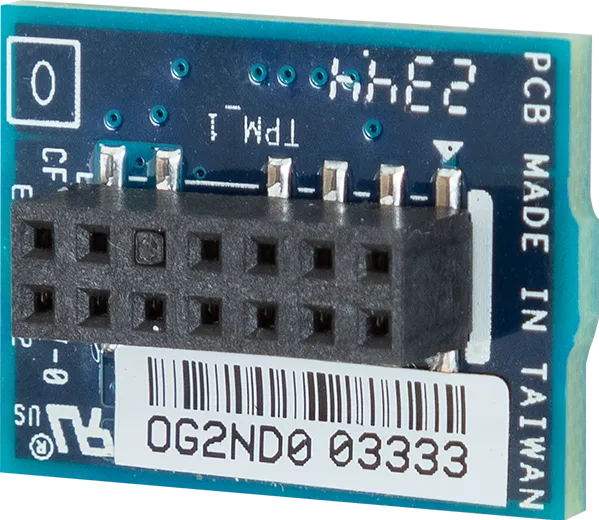 GigaByte CTM010 TPM 2.0 module, SPI