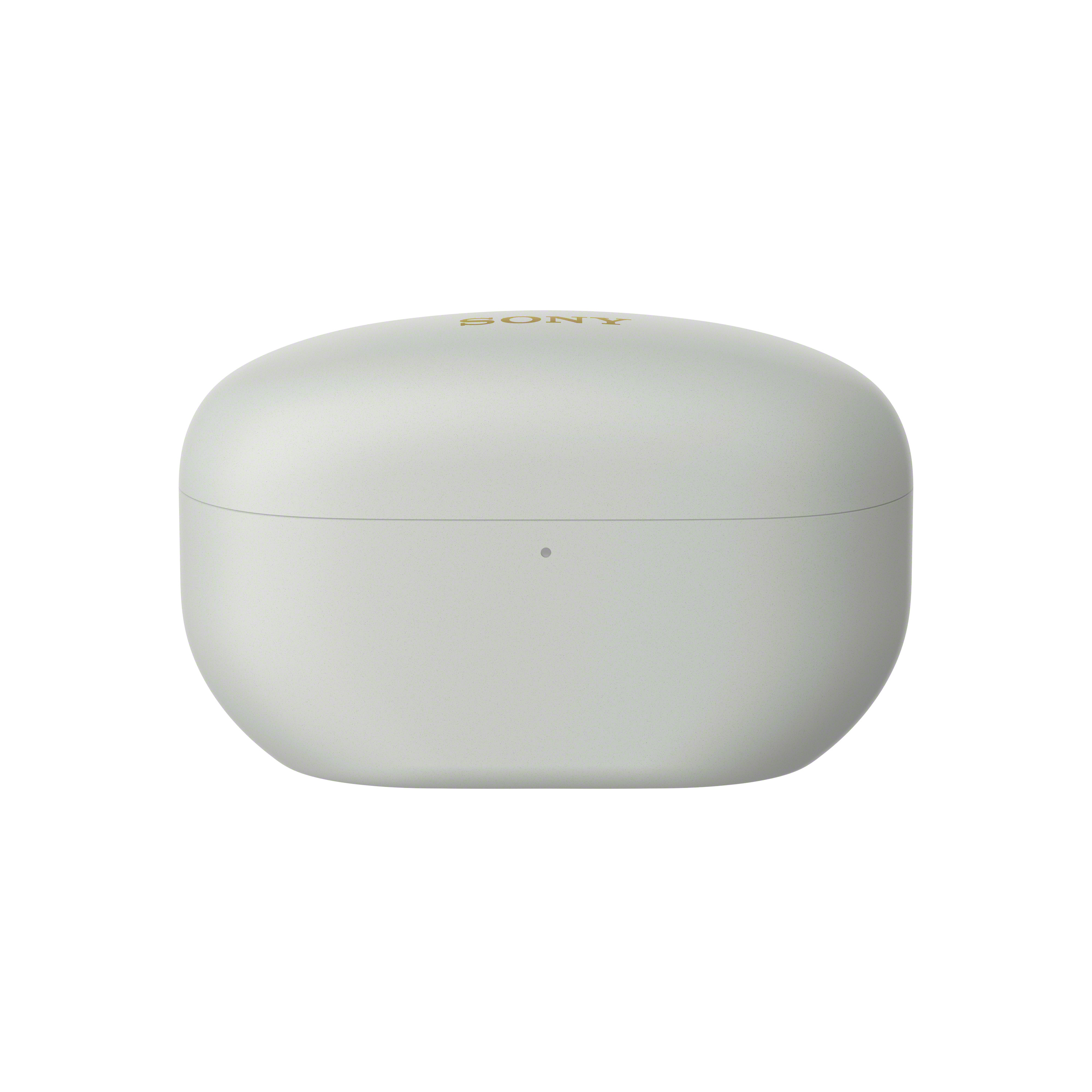 Sony WF-1000XM5 - True Wireless-Kopfhörer - SIlver