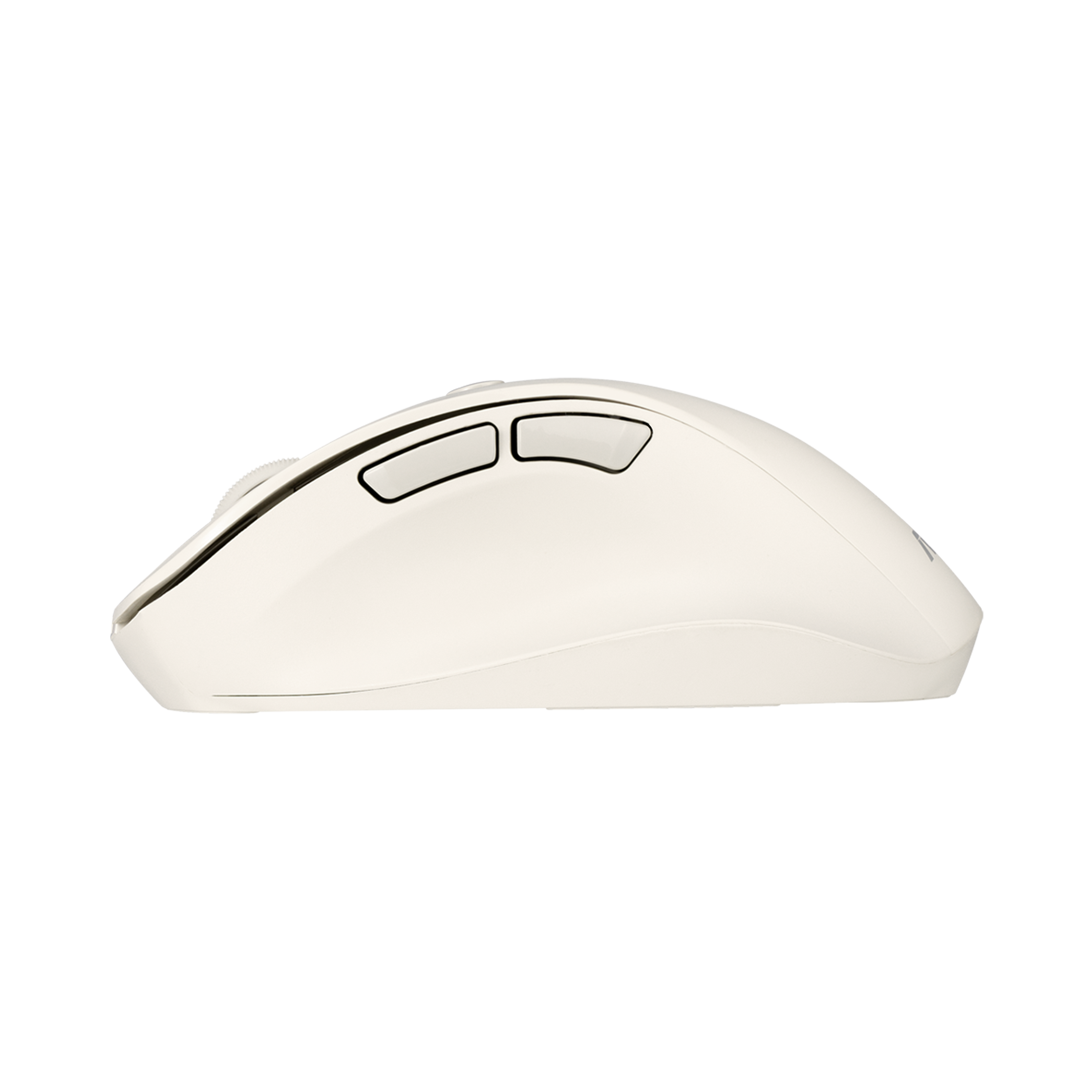 ASUS MD105 Maus wireless 2400dpi Milky White