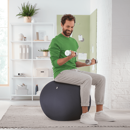 LEITZ Ergo Active Sitzball dunkelgrau 65,0 cm