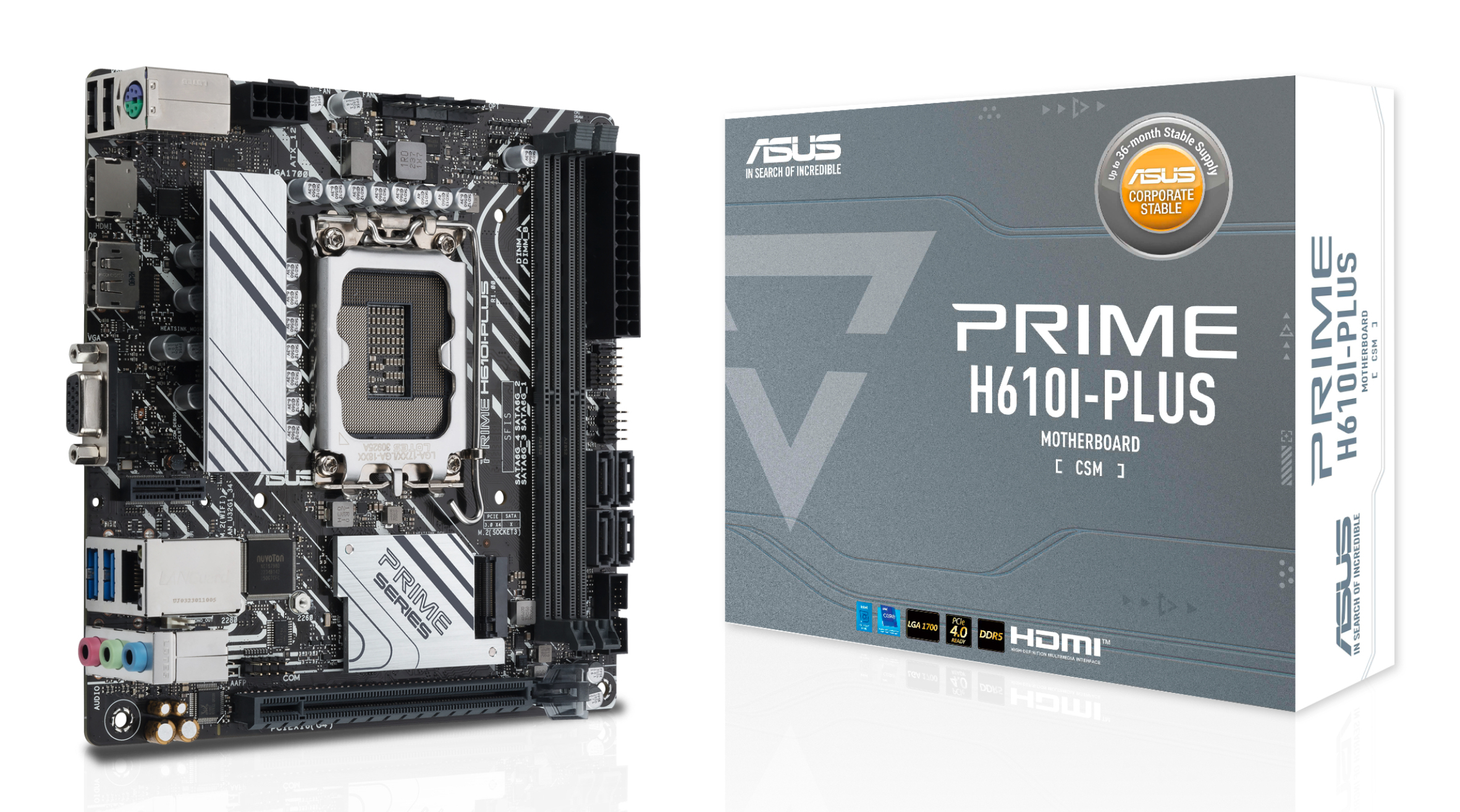 ASUS PRIME H610I-PLUS-CSM Intel LGA 1700 2DDR5 miniATX 4xSATA MB 1xHDMI 1xDP 1xD-Sub