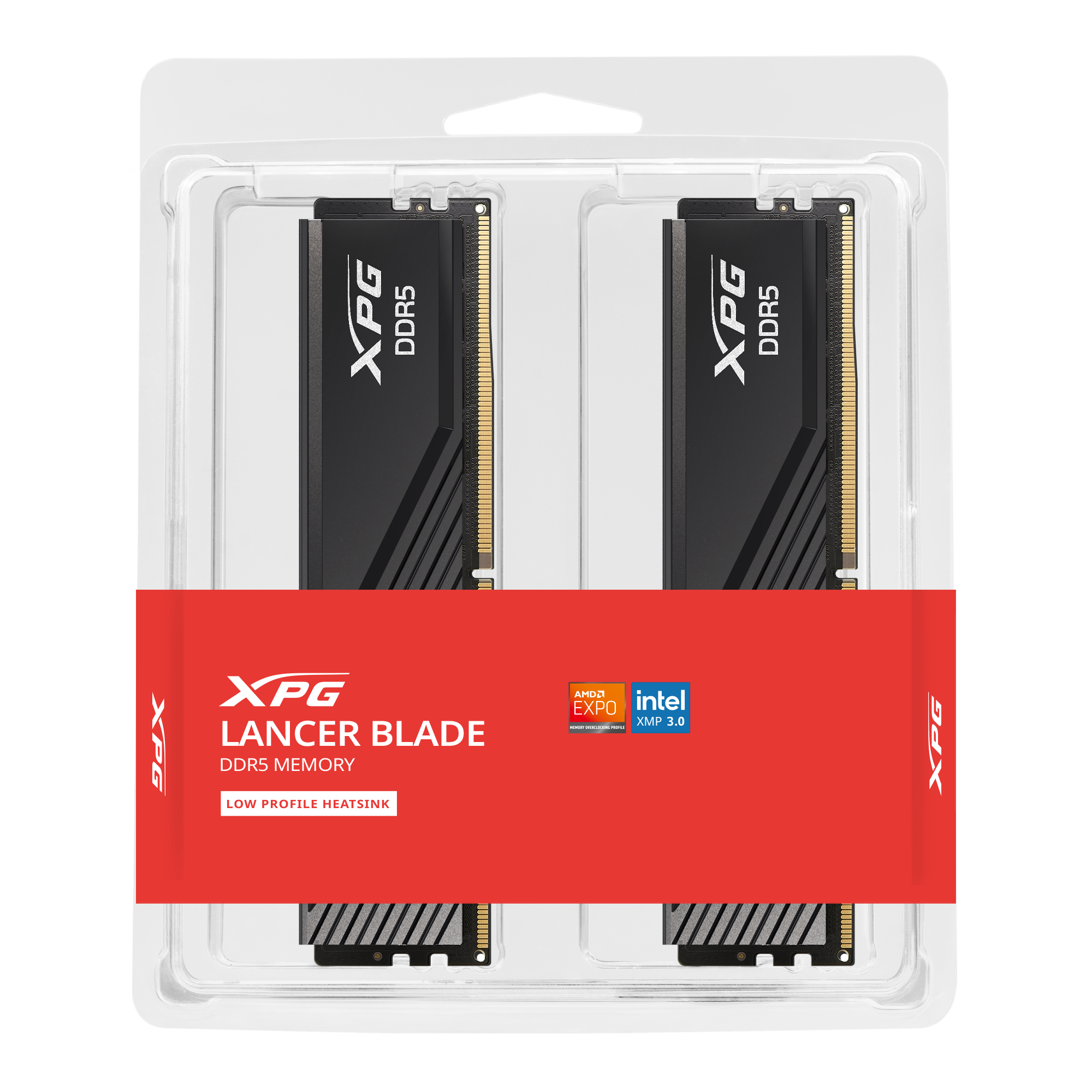 DIMM 32 GB DDR5-5600 (2x 16 GB) Dual-Kit, Arbeitsspeicher