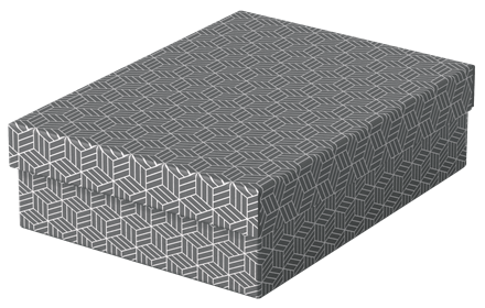 Esselte Home Aufbewahrungsboxen 8,0 l grau 26,5 x 36,0 x 10,0 cm, 3 St.