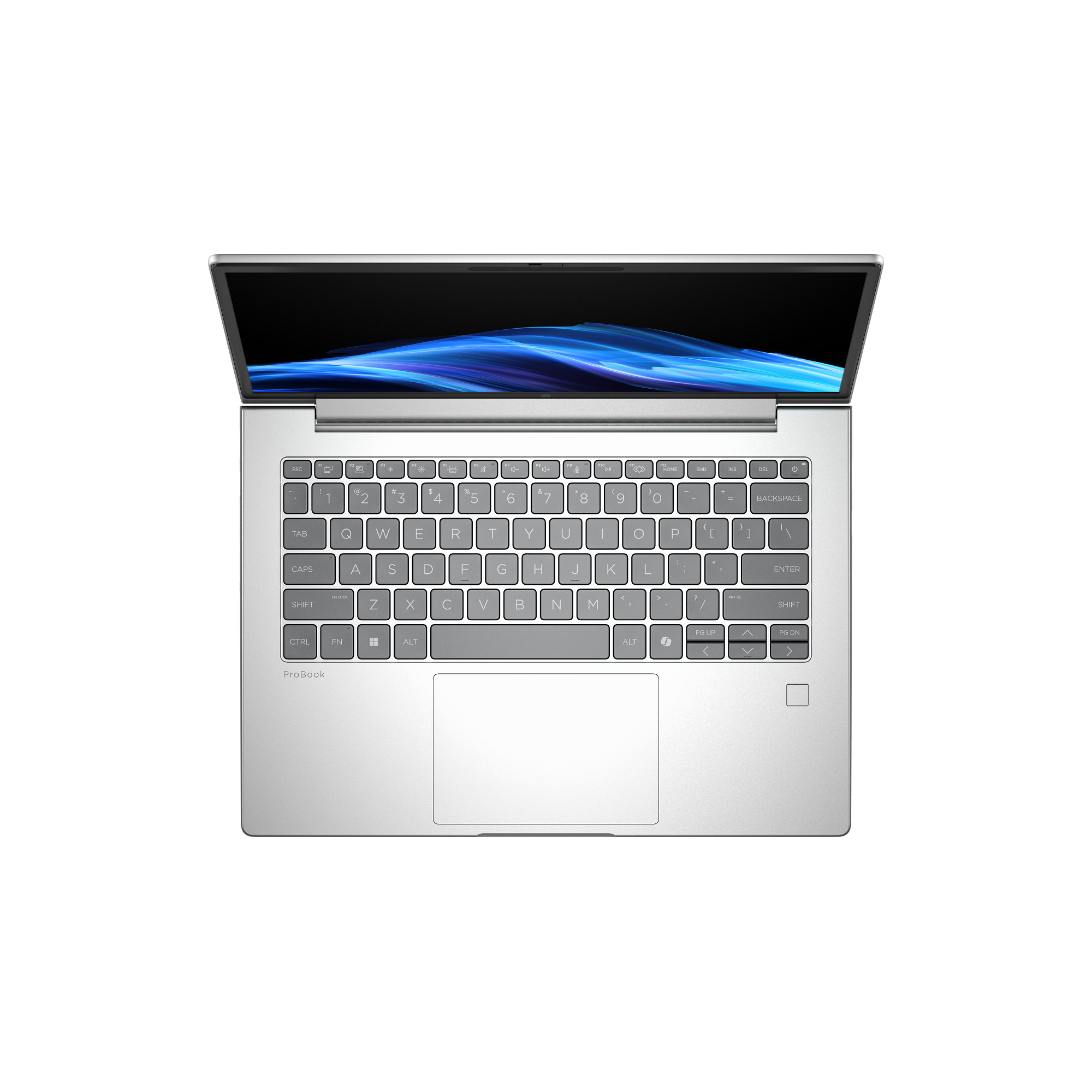 HP ProBook 4 G1a 14 AMD Ryzen 7 250 35,56cm 14Zoll WUXGA 32GB 1TB/SSD W11P SmartBuy 1J Gar (DE)