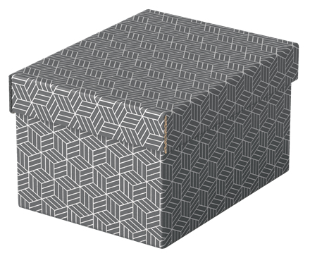Esselte Home Aufbewahrungsboxen 6,5 l grau 20,0 x 25,5 x 15,0 cm, 3 St.