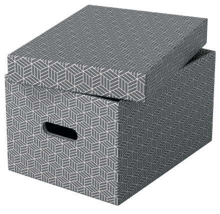 Esselte Home Aufbewahrungsboxen 17,5 l grau 26,5 x 36,5 x 20,5 cm, 3 St.
