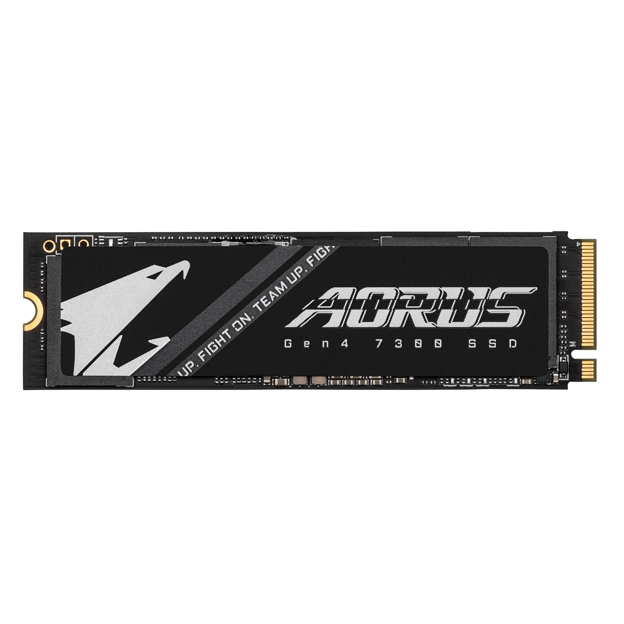 AORUS Gen4 7300 1 TB, SSD