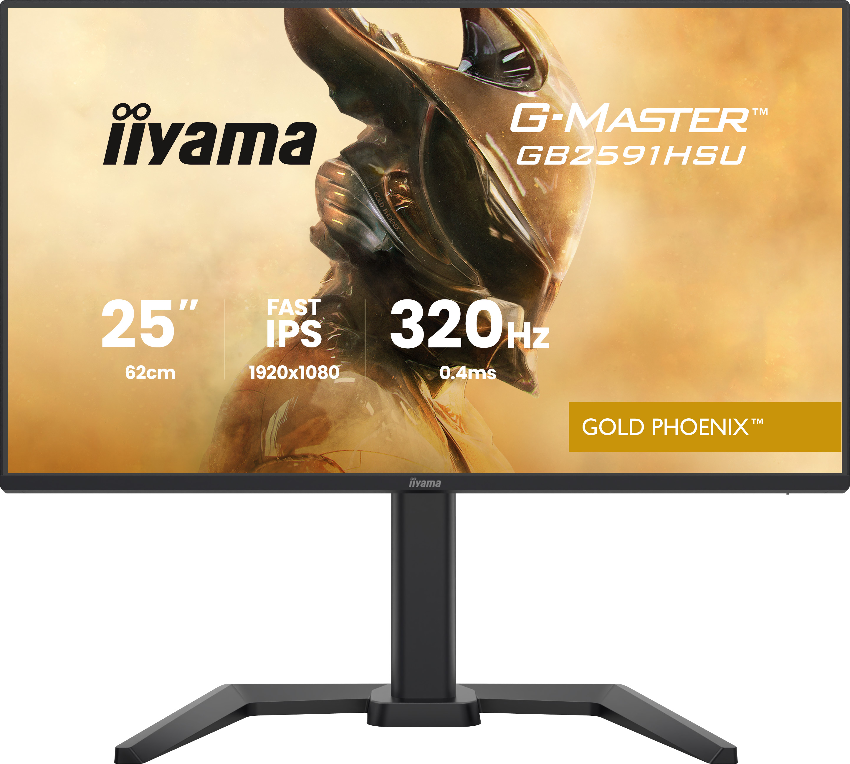IIYAMA 62.0cm (24,5) GB2591HSU-B1 16:9 2xHDMI+DP+2xUSB-C