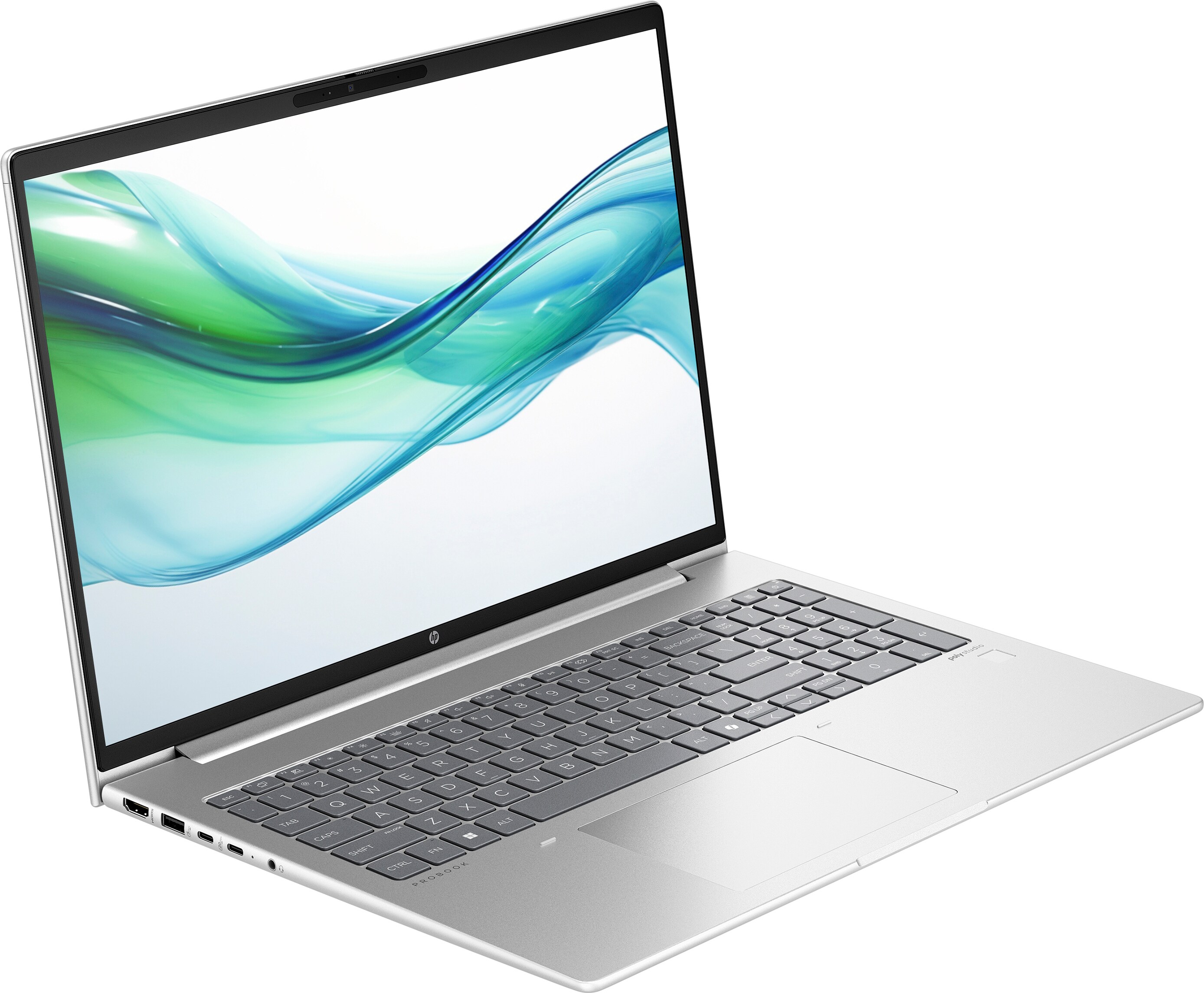 ProBook 460 G11 (D05CVES), Notebook