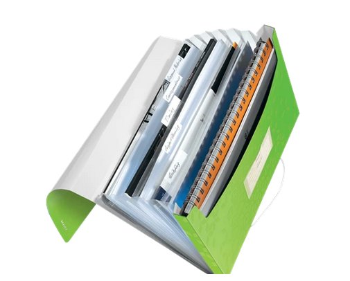 LEITZ Fächermappe WOW 4589 6 Fächer grün, 1 St.