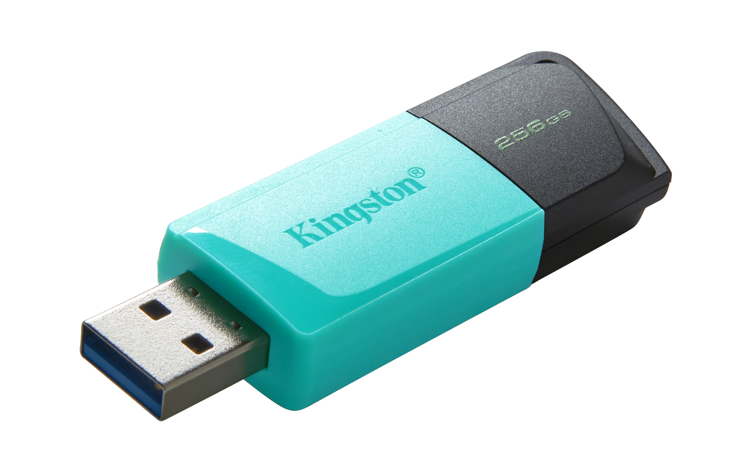 KINGSTON 256GB DataTraveler Exodia M