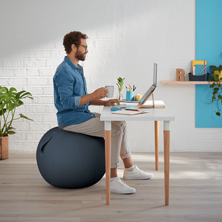 LEITZ Ergo Cosy Sitzball grau 65,0 cm