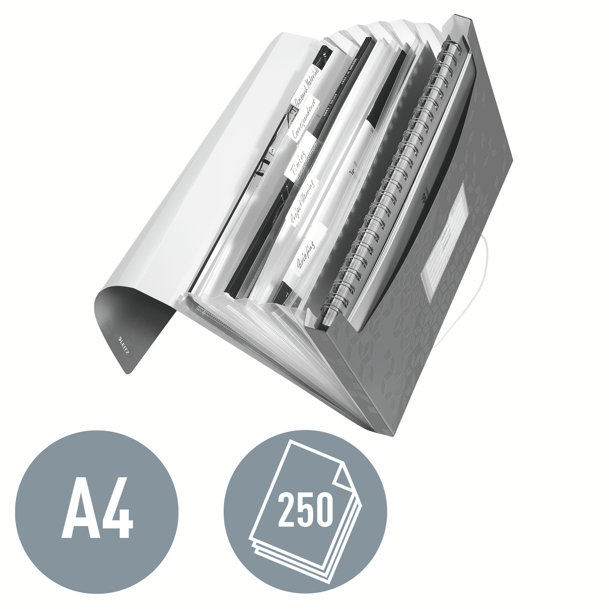 LEITZ Fächermappe WOW 4589 6 Fächer weiß, 1 St.