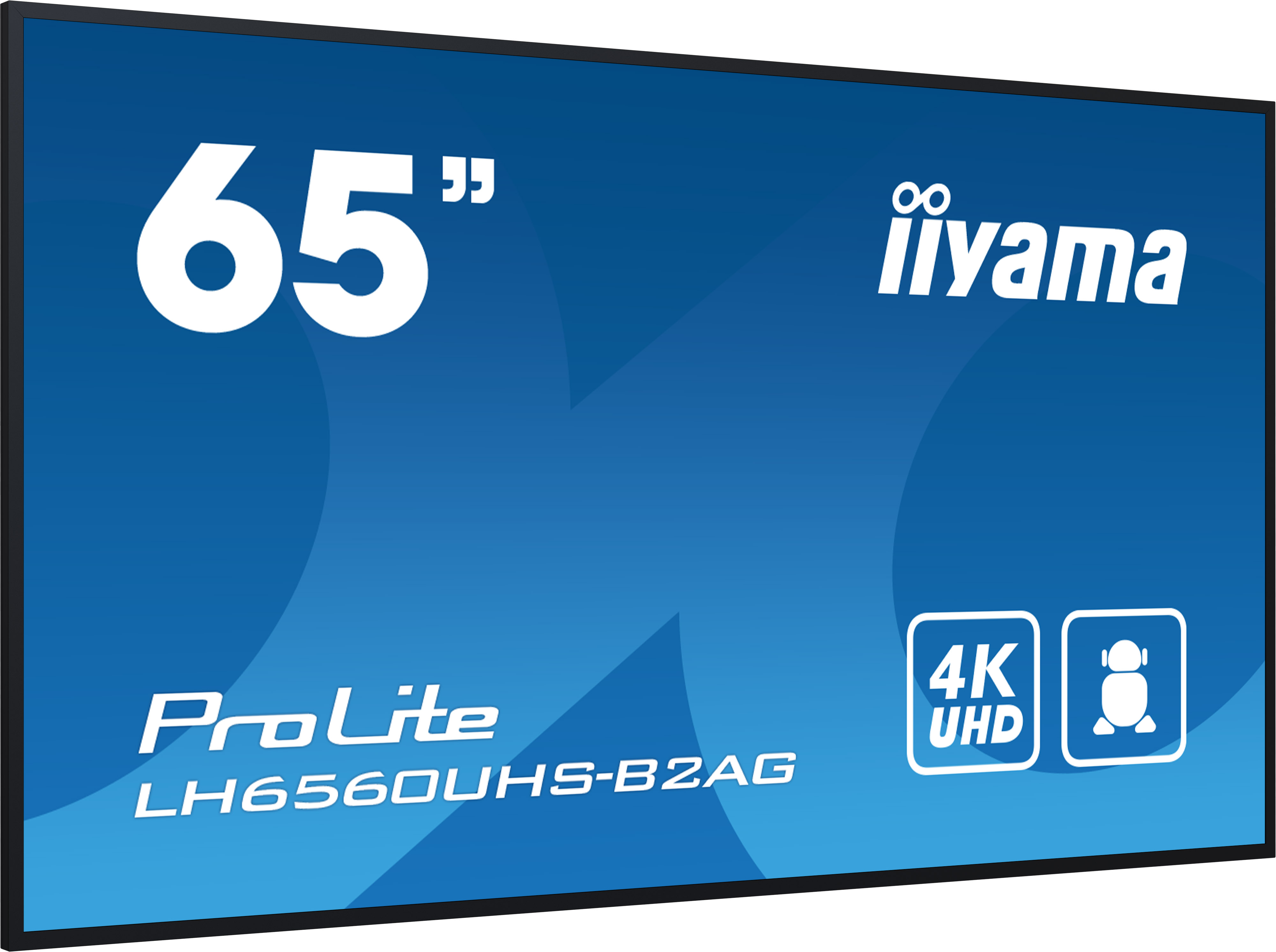 ProLite LH6560UHS-B2AG, Public Display