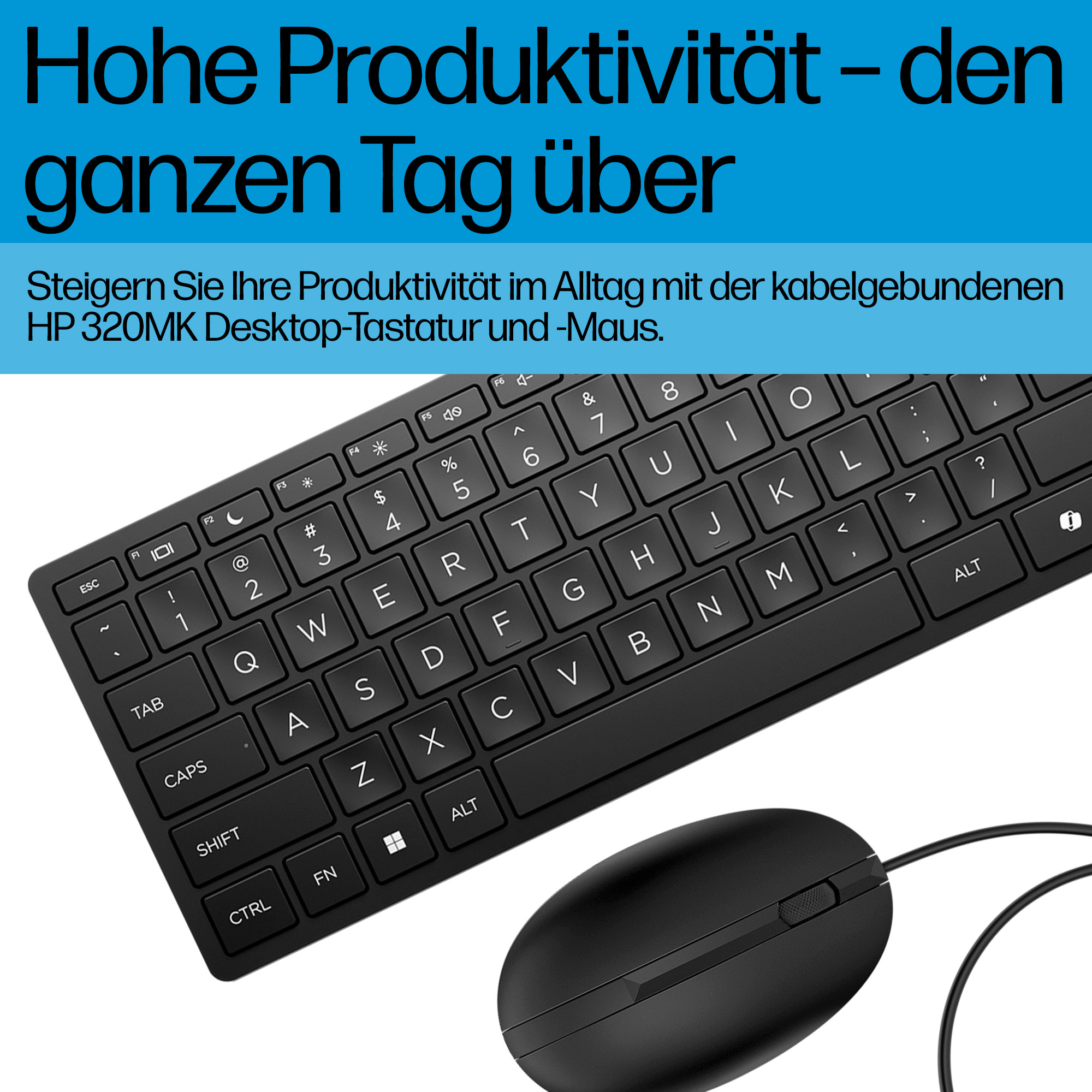 HP Wired 320MK Mouse and Keyboard SmartBuy (DE)