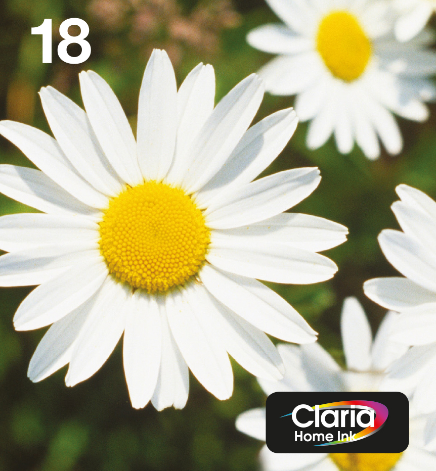 EPSON 3LB EasyMail MP Daisy Claria Multipack Home CMYK