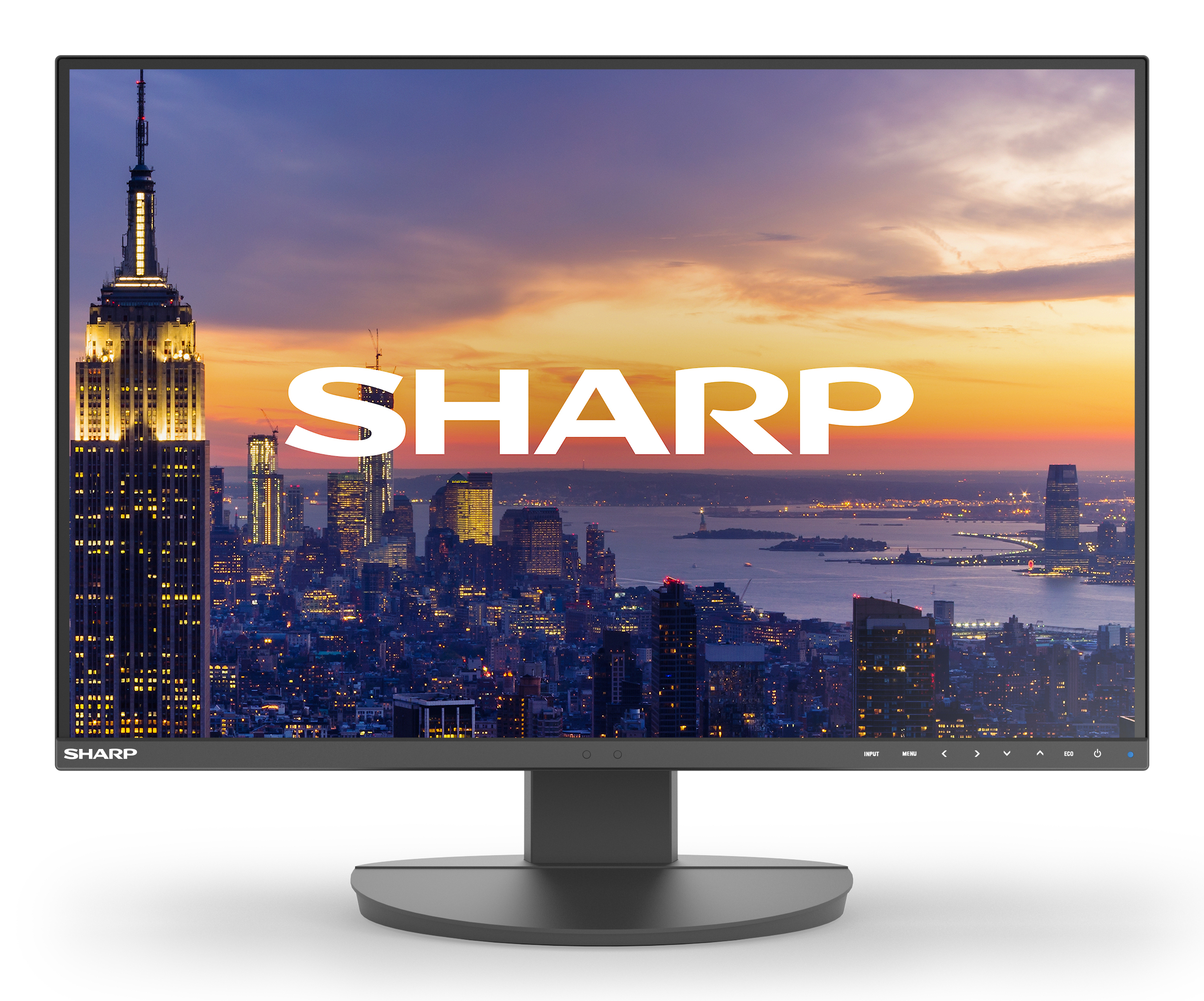 DD-EA242W BLACK 24IN IPS 1920X1200 16:10 300CD