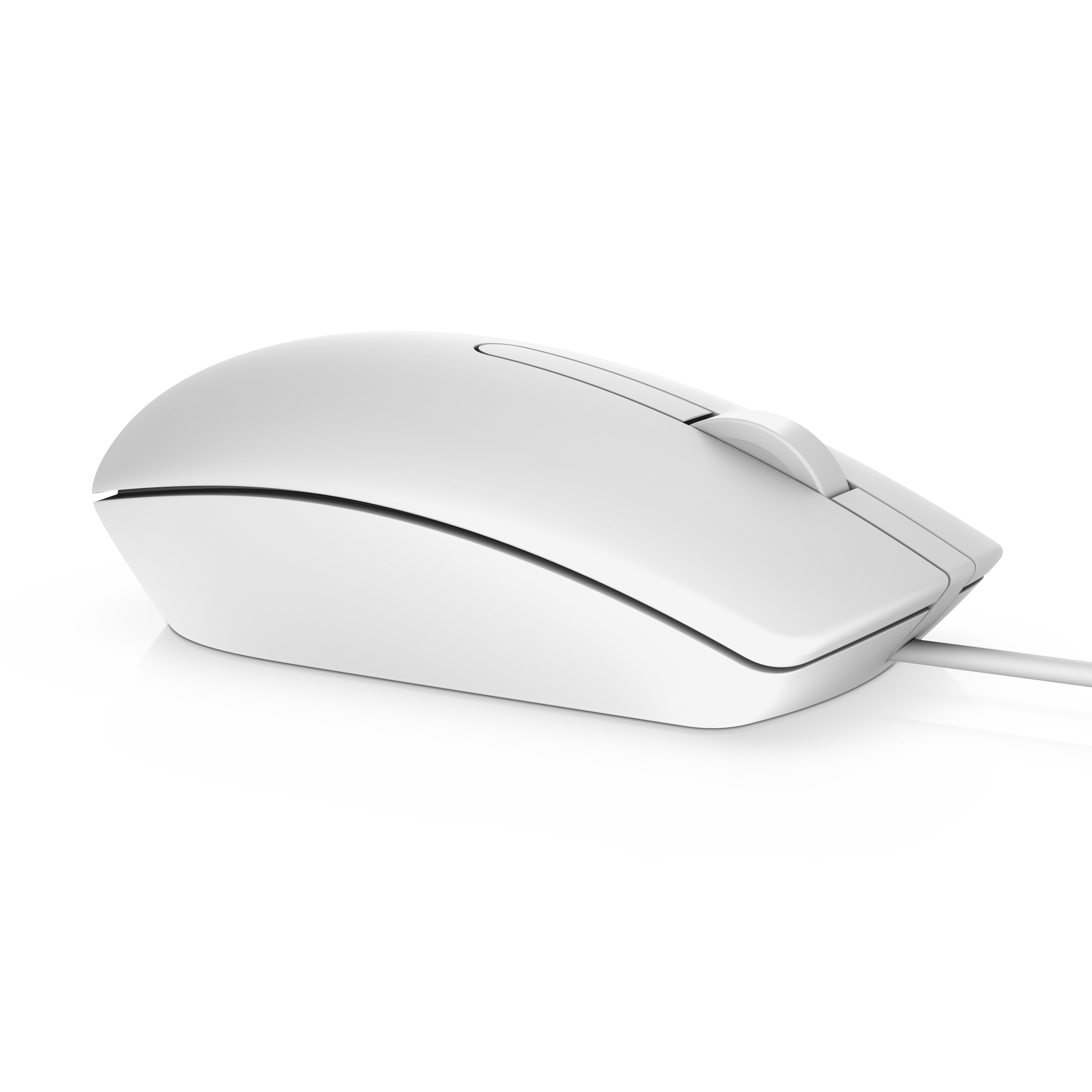Dell MS116 Maus USB Weiß 570-AAIP