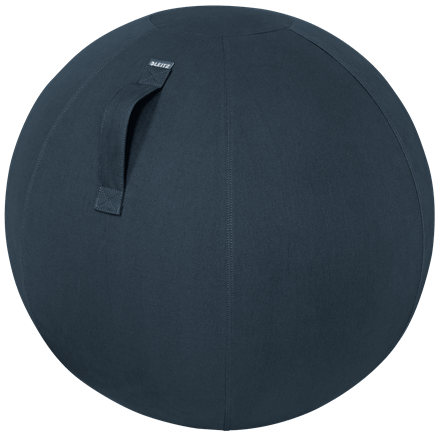 LEITZ Ergo Cosy Sitzball grau 65,0 cm