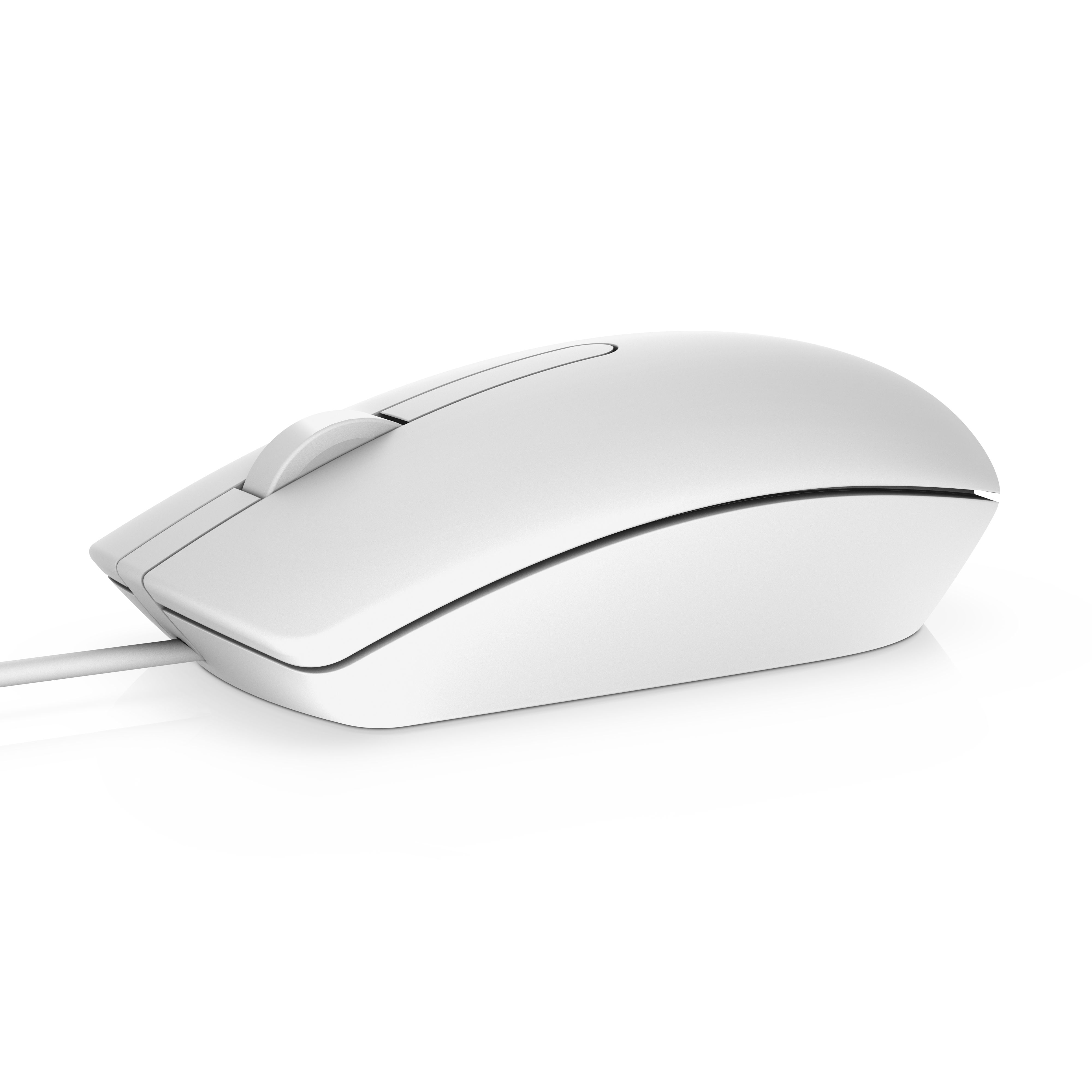 Dell MS116 Maus USB Weiß 570-AAIP