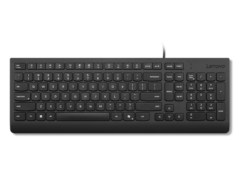 LENOVO Essential Keyboard 2.5-zone layout USB QWERTZ German black brown box (DE)