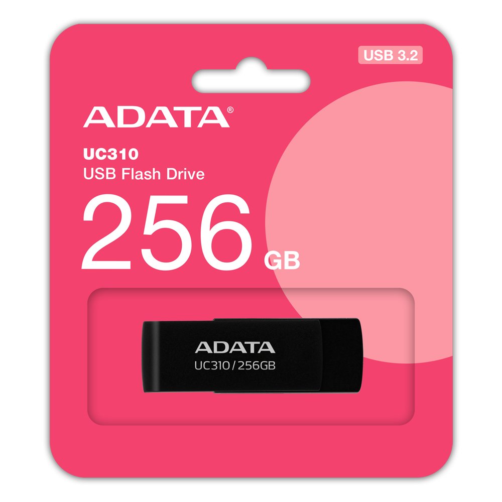 UC310 256 GB, USB-Stick