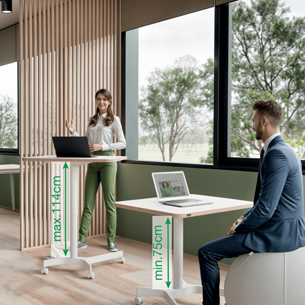 LEITZ Ergo höhenverstellbarer Schreibtisch weiß rechteckig, 4-Fuß-Gestell weiß 80,0 x 60,0 cm
