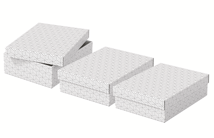Esselte Home Aufbewahrungsboxen 8,0 l weiß 26,5 x 36,0 x 10,0 cm, 3 St.