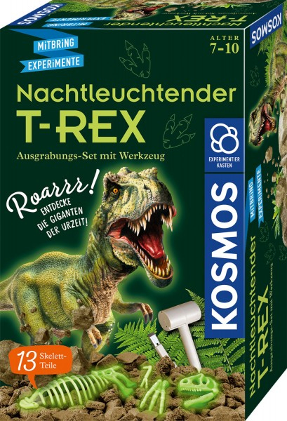 Nachtleuchtender T-REX, Experimentierkasten