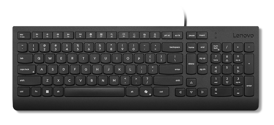 LENOVO Essential Keyboard 2.5-zone layout USB QWERTZ German black brown box (DE)