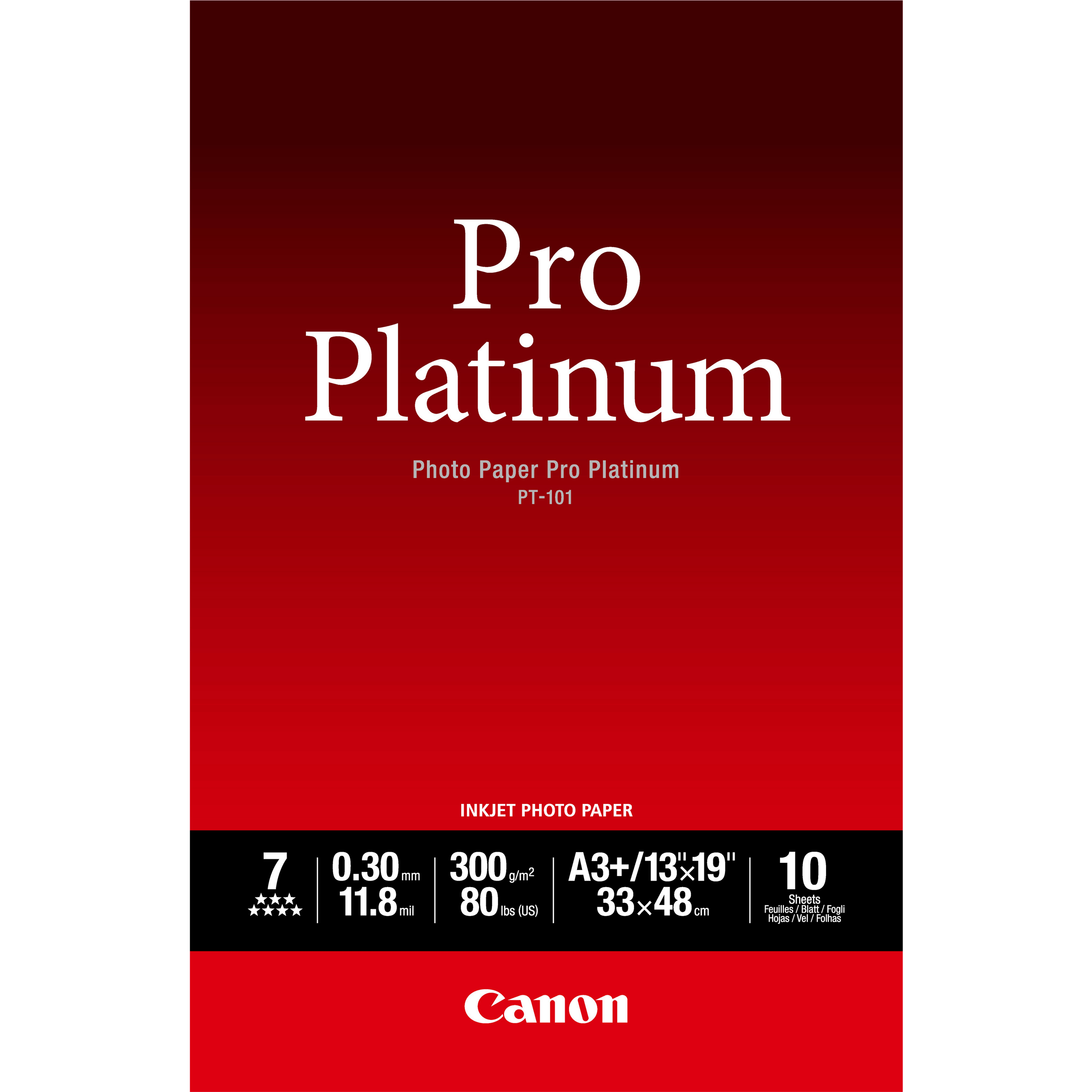 PHOTO PAPER PRO PLATINUM PT-101 A3+ 10SH