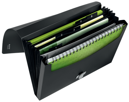 LEITZ Fächermappe recycle 4624 6 Fächer schwarz, 1 St.