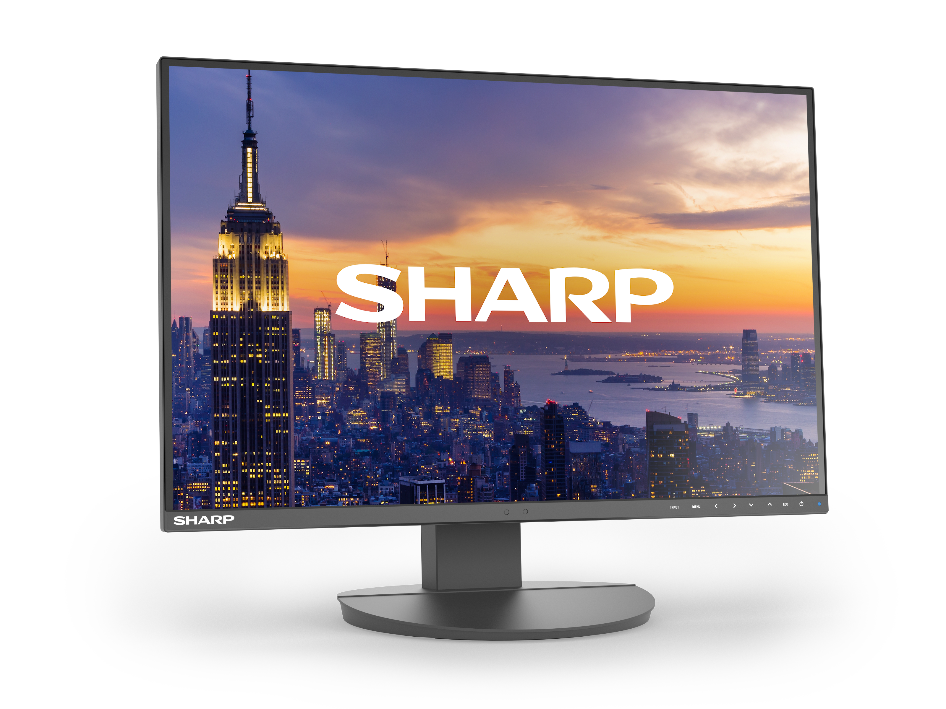 DD-EA242W BLACK 24IN IPS 1920X1200 16:10 300CD