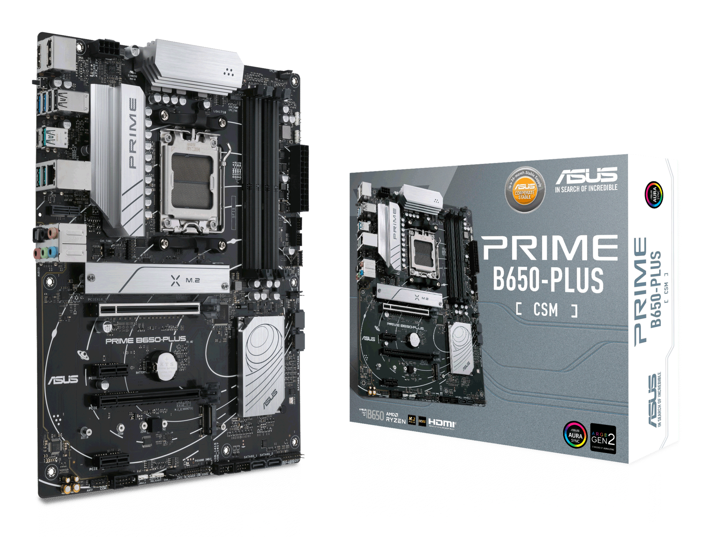 ASUS PRIME B650-PLUS-CSM (AMD,AM5,DDR5,ATX)