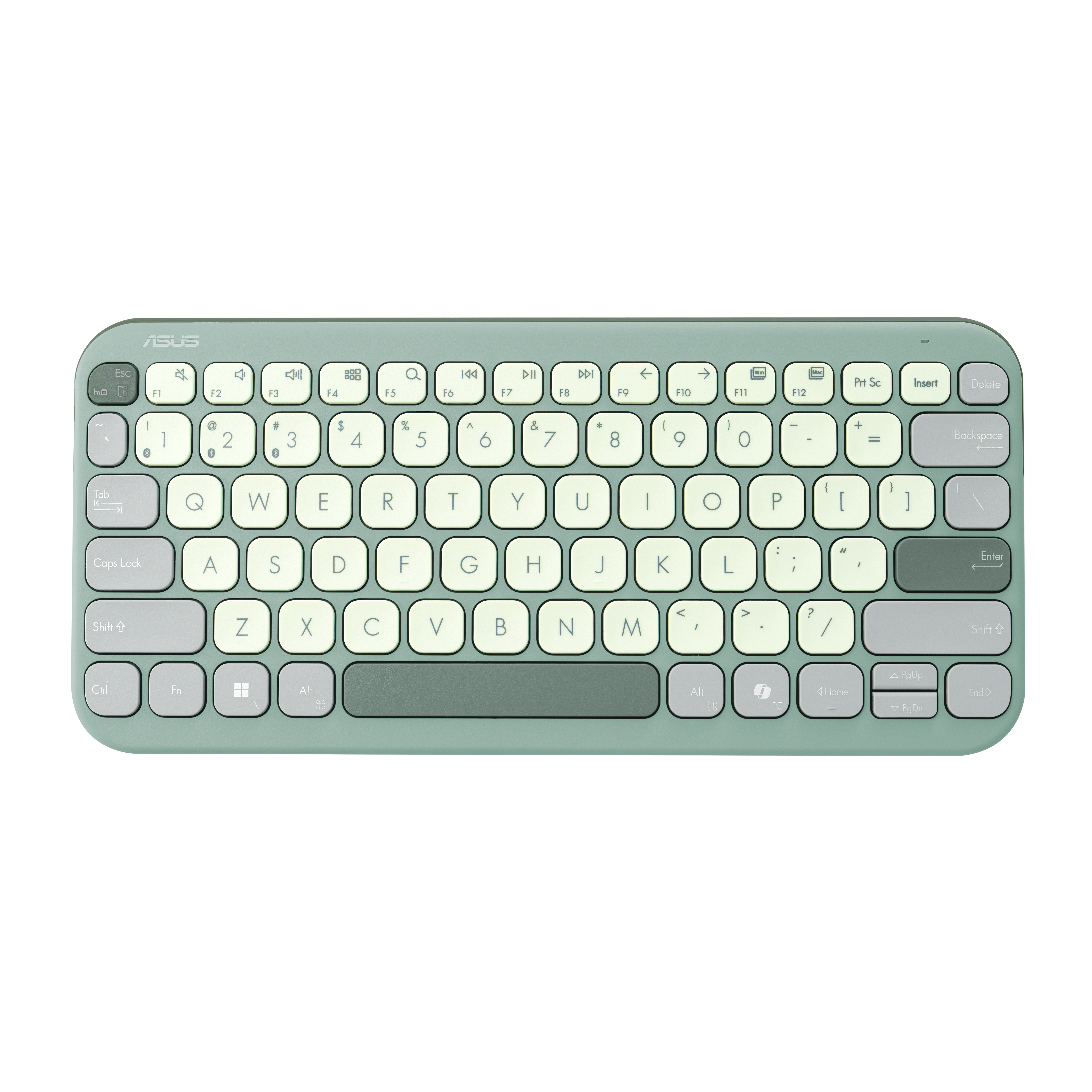 ASUS KW100 Marshmallow Tastatur grün