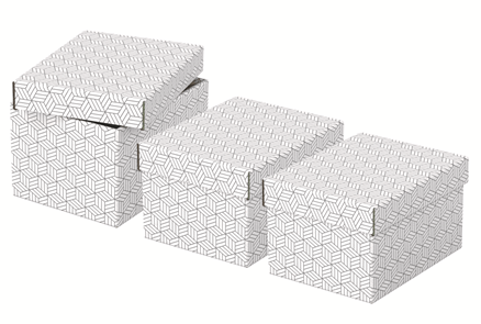 Esselte Home Aufbewahrungsboxen 6,5 l weiß 20,0 x 25,5 x 15,0 cm, 3 St.