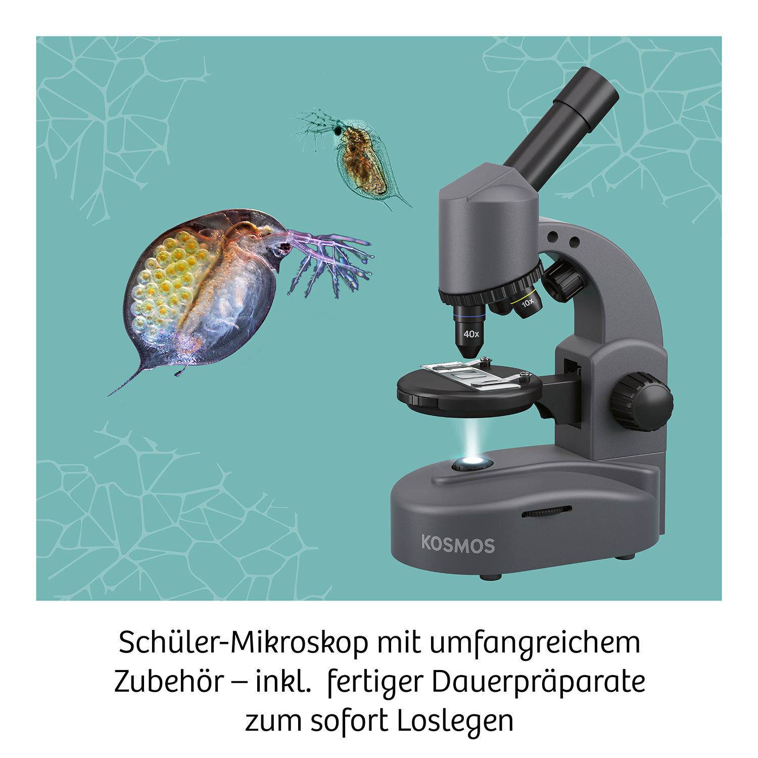 Mikroskop, Experimentierkasten