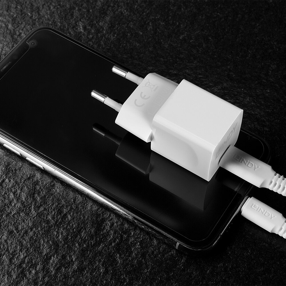 LINDY USB Typ C PD GaN Charger 20W, weiß