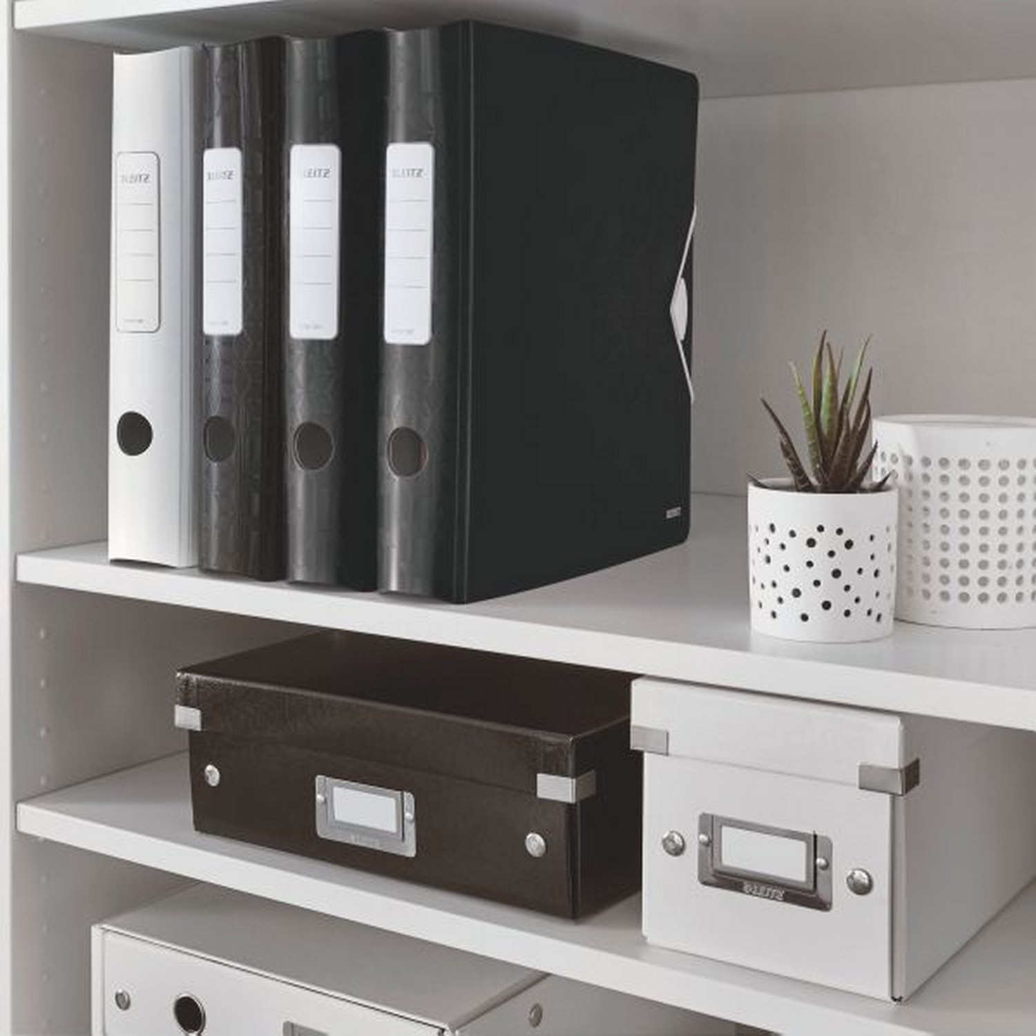LEITZ Active WOW 1107 Ordner schwarz Kunststoff 6,5 cm DIN A4, 1 St.