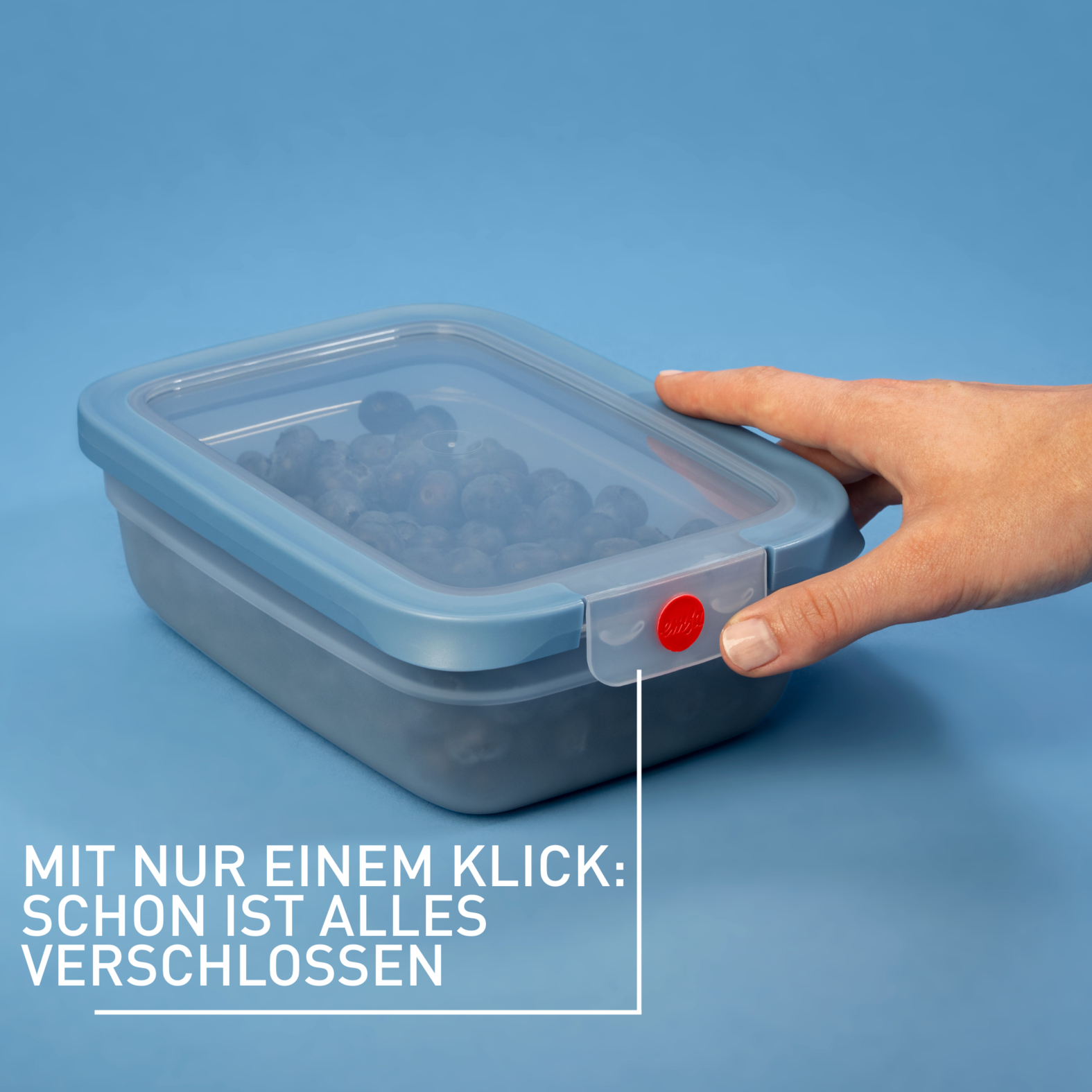 emsa Frischhaltedose ONECLICK 7,3 cm hoch blau 1,2 l, 1 St.