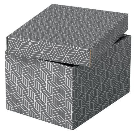 Esselte Home Aufbewahrungsboxen 6,5 l grau 20,0 x 25,5 x 15,0 cm, 3 St.