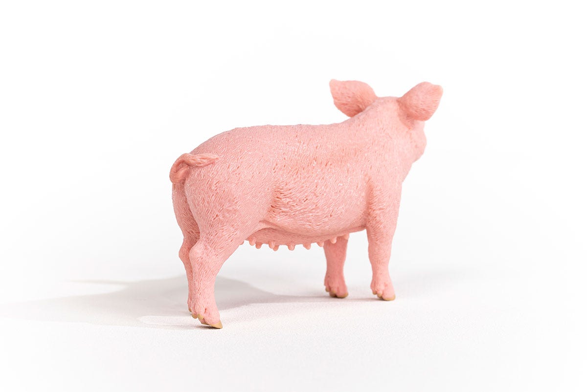 Farm World Schwein, Spielfigur