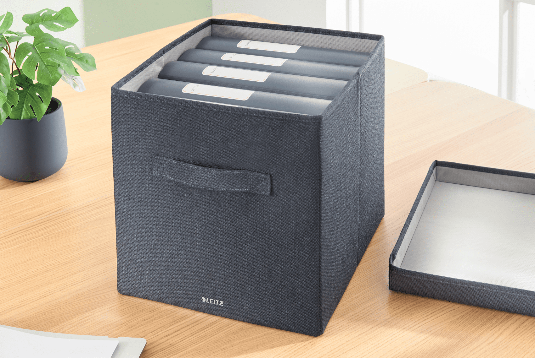 LEITZ Aufbewahrungsboxen grau 33,0 x 38,0 x 32,5 cm, 2 St.